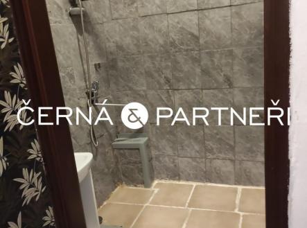 Pronájem bytu, 2+1, 51 m²