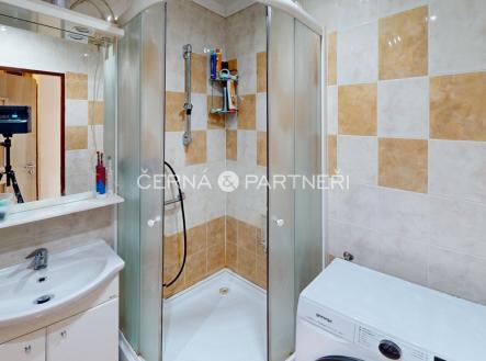 prodej-bytu-21-ul-alejni-teplice-bathroom.jpg