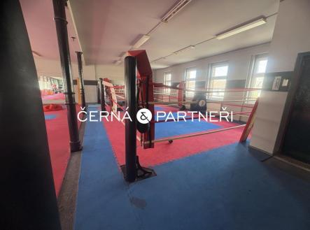 Pronájem jiné, 280 m²