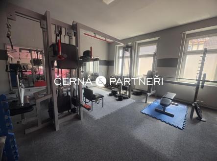 Pronájem jiné, 280 m²