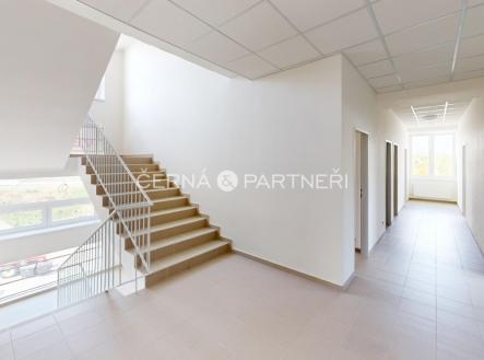 Pronájem kanceláře, 306 m²