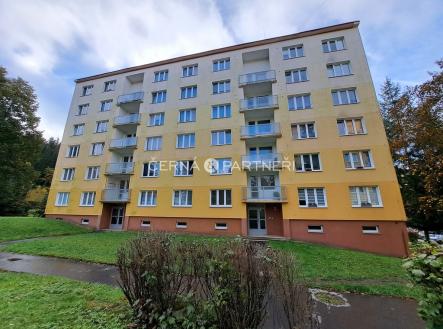 Prodej bytu, 1+kk, 22 m²