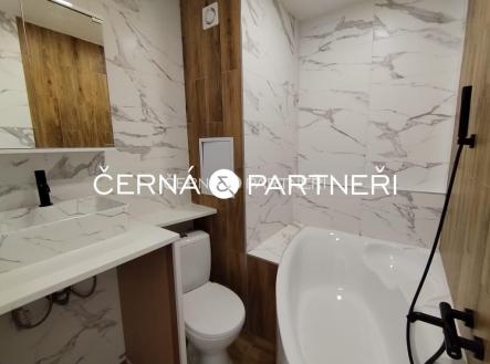 Pronájem bytu, 1+1, 35 m²