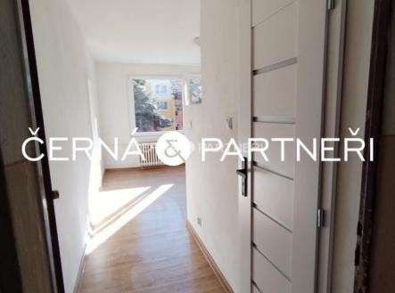 Pronájem bytu, 1+1, 35 m²