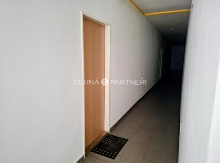 Prodej bytu, 1+kk, 28 m²