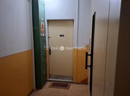 Vstupní dveře do bytu