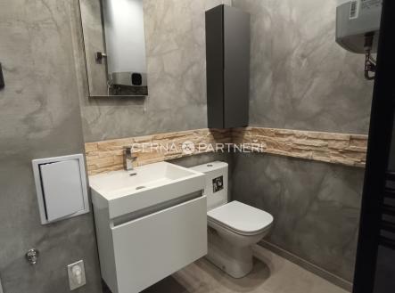 Pronájem bytu, 1+1, 37 m²