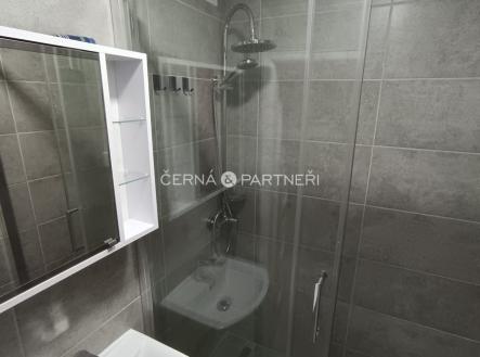 Pronájem bytu, 2+1, 49 m²