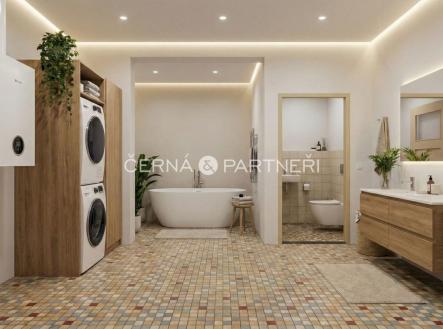 Prodej domu/vily, 265 m²