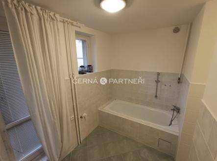 Pronájem bytu, 1+1, 47 m²