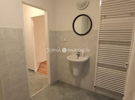 Pronájem bytu, 1+1, 47 m²