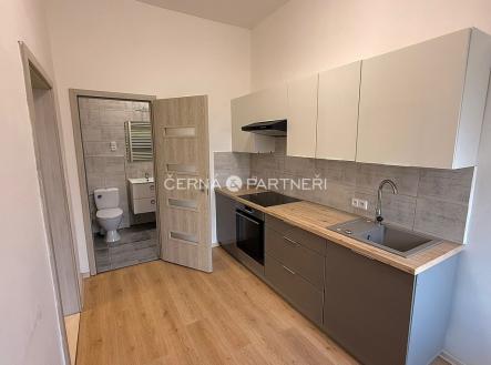 Pronájem bytu, 2+1, 46 m²