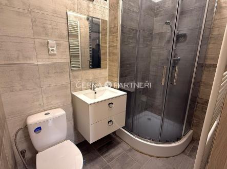 Pronájem bytu, 2+1, 46 m²