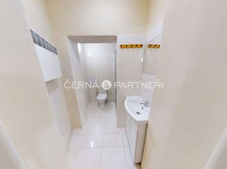 Pronájem bytu, 1+kk, 30 m²