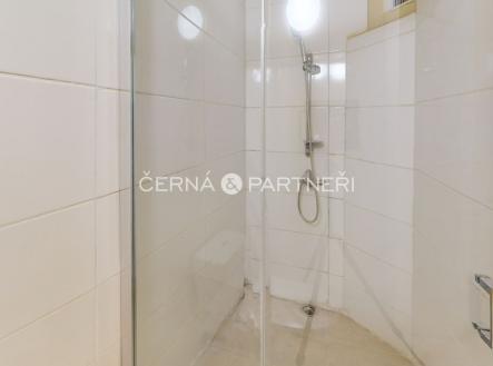 Pronájem bytu, 1+1, 30 m²