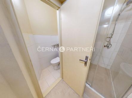 Pronájem bytu, 2+1, 35 m²