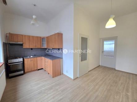 Pronájem bytu, 1+1, 48 m²