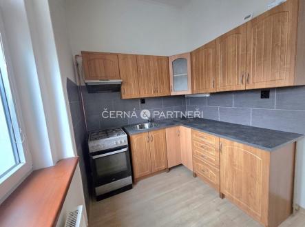 Pronájem bytu, 1+1, 48 m²