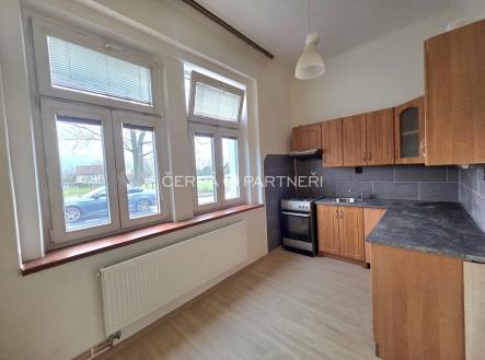 Pronájem bytu, 1+1, 48 m²