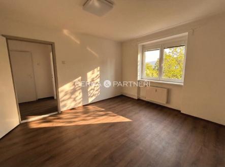 Pronájem bytu, 3+1, 58 m²