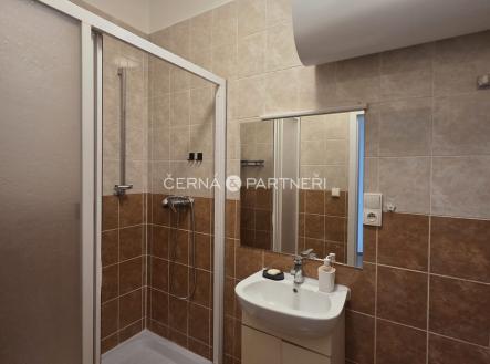 Pronájem bytu, 1+1, 37 m²