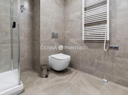 Pronájem bytu, 3+1, 72 m²