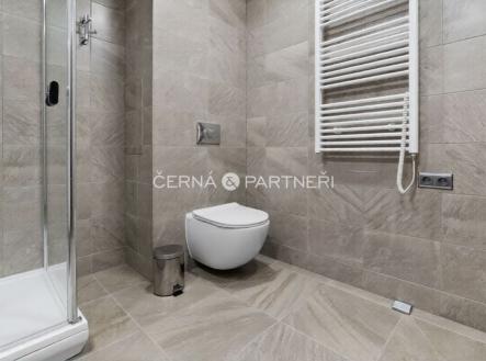 Pronájem bytu, 3+1, 72 m²