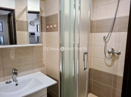 Pronájem bytu, 1+kk, 25 m²