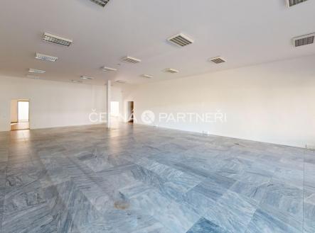 Pronájem obchodní prostor, 319 m²