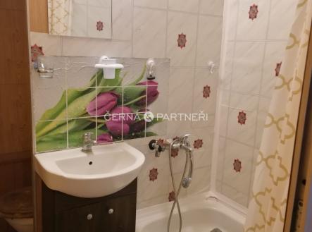 Pronájem bytu, 1+kk, 31 m²