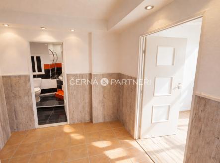 Pronájem bytu, 3+1, 68 m²