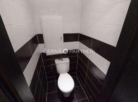 Pronájem bytu, 2+1, 54 m²