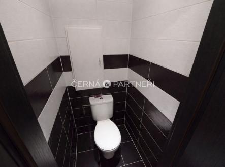 Pronájem bytu, 2+1, 54 m²