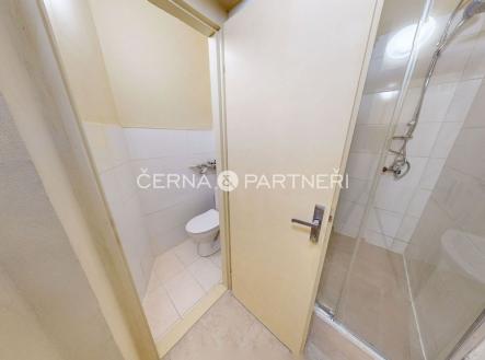 Pronájem bytu, 2+1, 35 m²