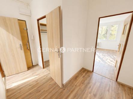 Pronájem bytu, 3+1, 60 m²