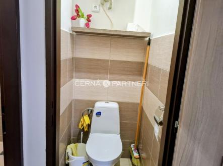 Pronájem bytu, 1+kk, 26 m²