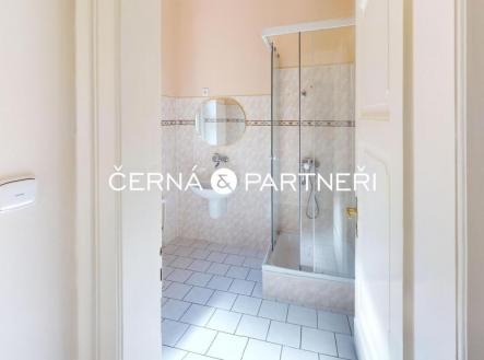 Pronájem bytu, 3+1, 90 m²