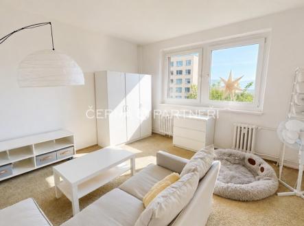 Pronájem bytu, 3+1, 75 m²