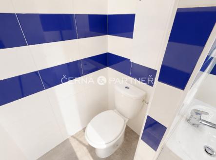 Pronájem bytu, 1+1, 38 m²