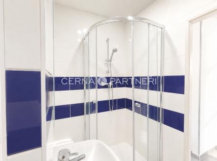Pronájem bytu, 1+1, 38 m²