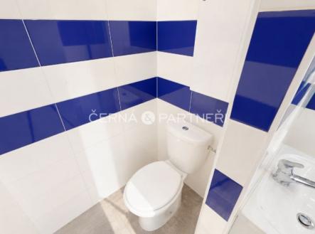 Pronájem bytu, 1+1, 38 m²