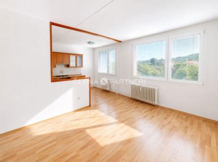 Pronájem bytu, 4+1, 70 m²