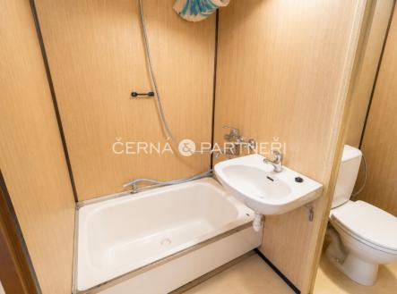 Pronájem bytu, 1+kk, 32 m²
