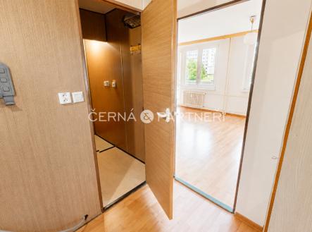 Pronájem bytu, 1+kk, 32 m²