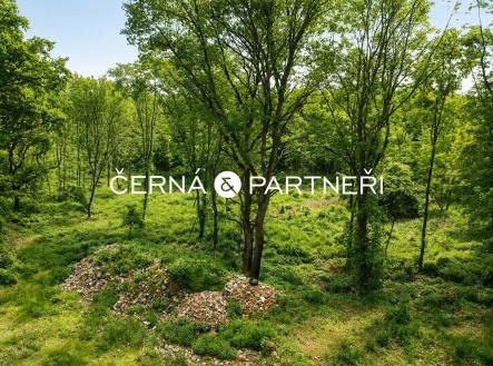 Prodej pozemku, zahrada, 14 700 m²