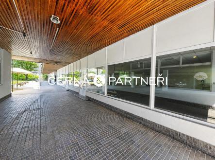 Pronájem obchodní prostory, 571 m²