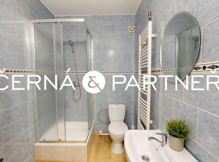 Pronájem bytu, 2+1, 55 m²