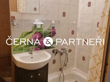 Prodej bytu, 1+kk, 31 m²