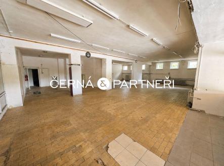 Pronájem obchodní prostory, 319 m²