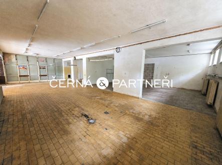 Pronájem obchodní prostory, 319 m²